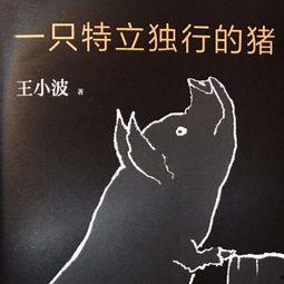 王小波热的背景材料