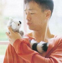 娱乐圈王喜,娱乐圈的璀璨星辰